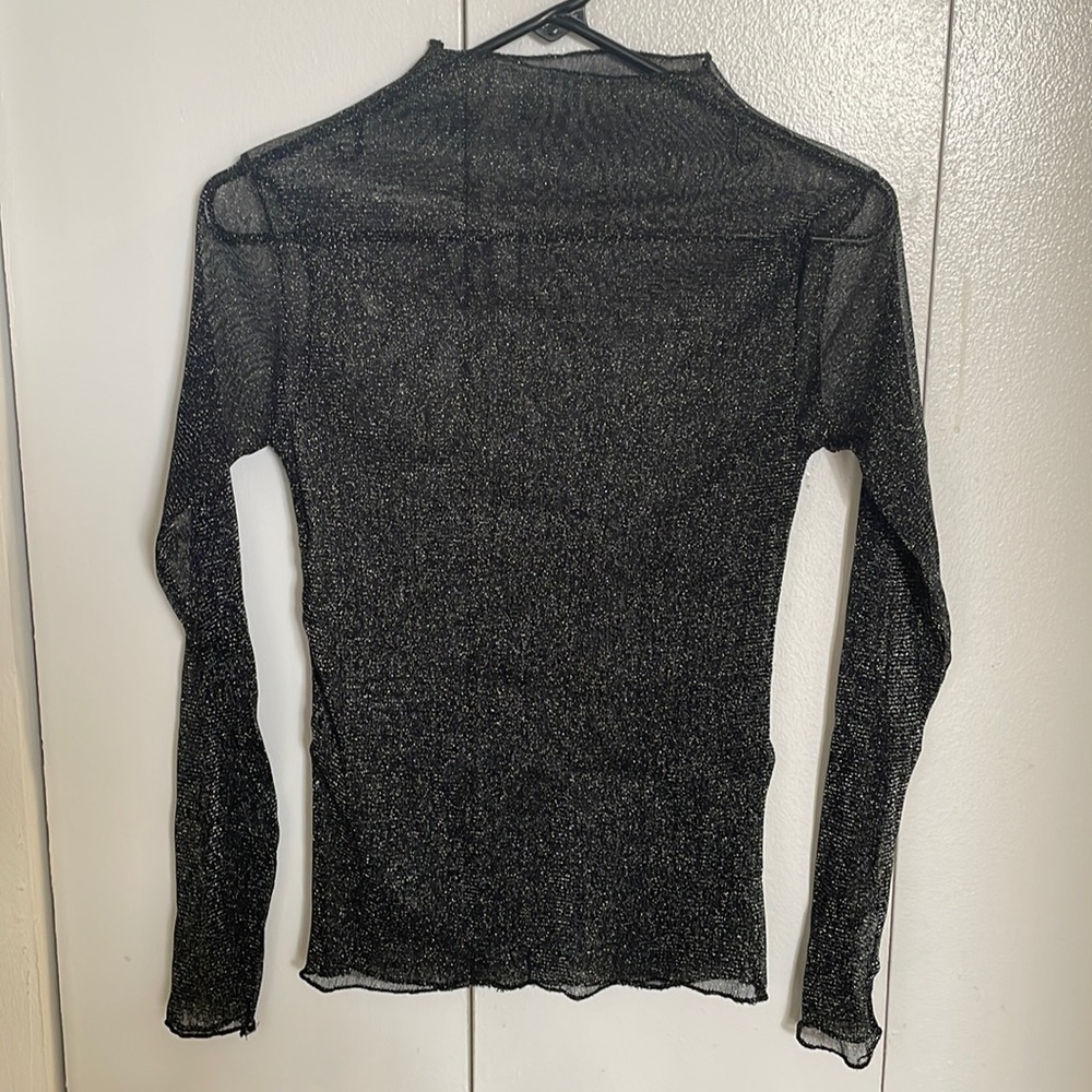 Sheer Glittery Top